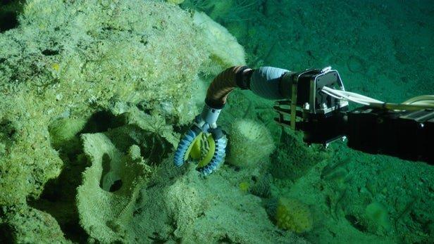 جستجو زیر دریا با یاری بازوی رباتیک