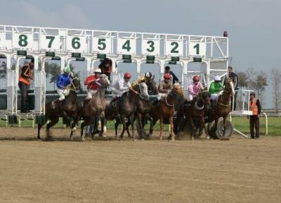 هفته بیست و سوم کورس اسبدوانی زمستانه گنبد برگزار گردید