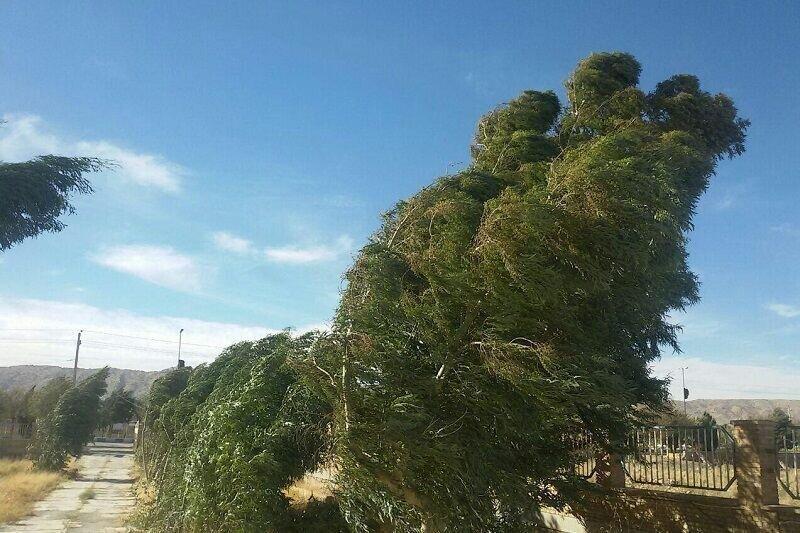 هشدار نسبت به وزش باد شدید در آستارا هشدار نسبت به وزش باد شدید در آستارا