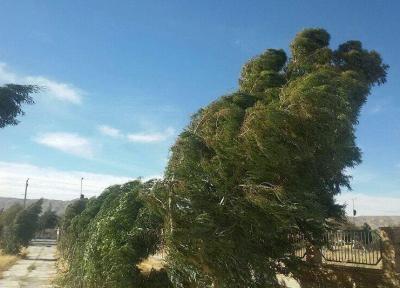 هشدار نسبت به وزش باد شدید در آستارا