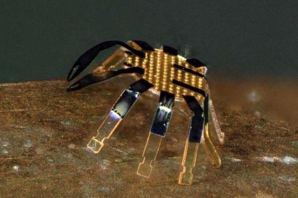کوچکترین ربات خرچنگی دنیا!