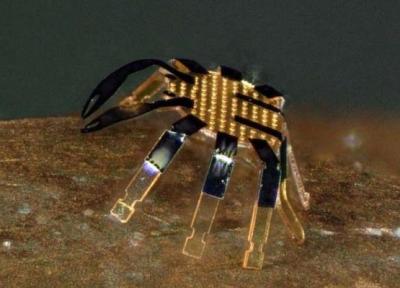 کوچکترین ربات خرچنگی دنیا!
